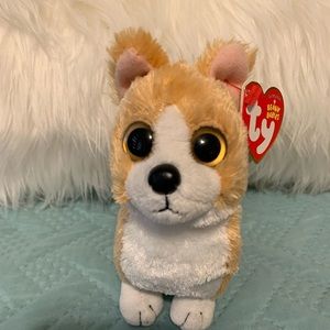 2015 TY otis the corgi, collectible item with tags